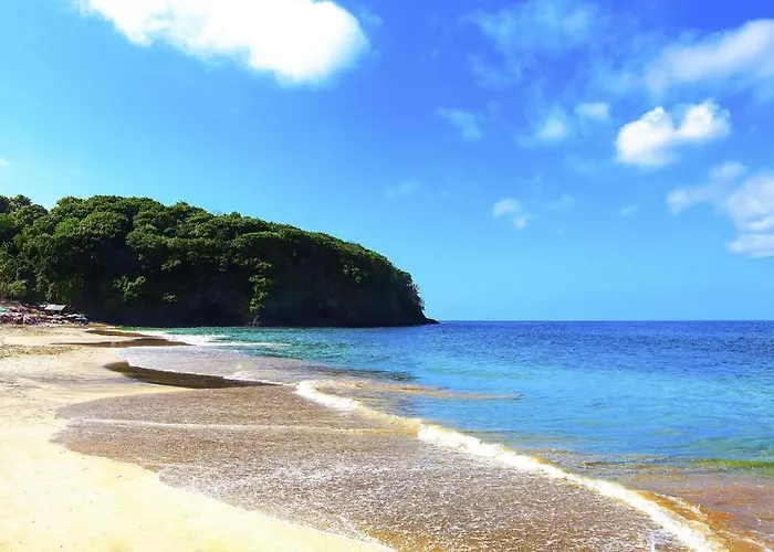 Samana 2*